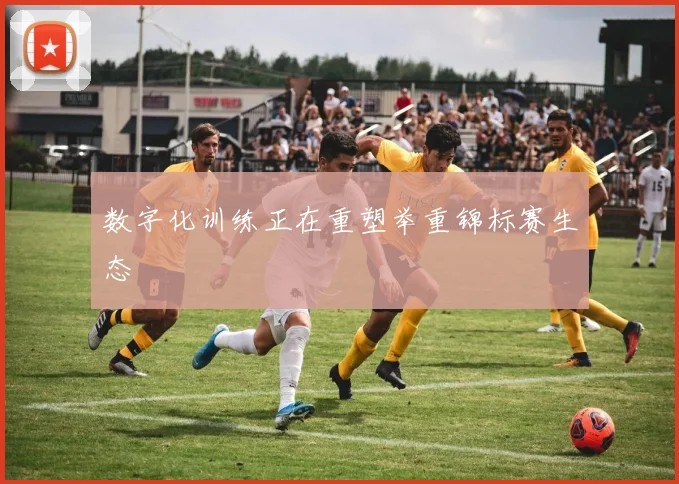 数字化训练正在重塑举重锦标赛生态