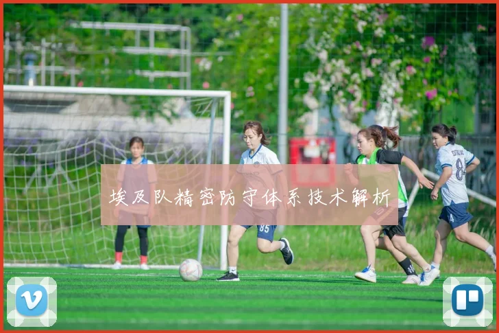 埃及队精密防守体系技术解析