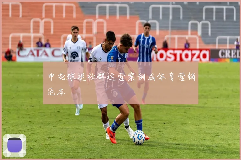申花球迷社群运营案例成体育营销范本
